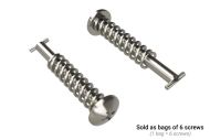 Quick turn screw
