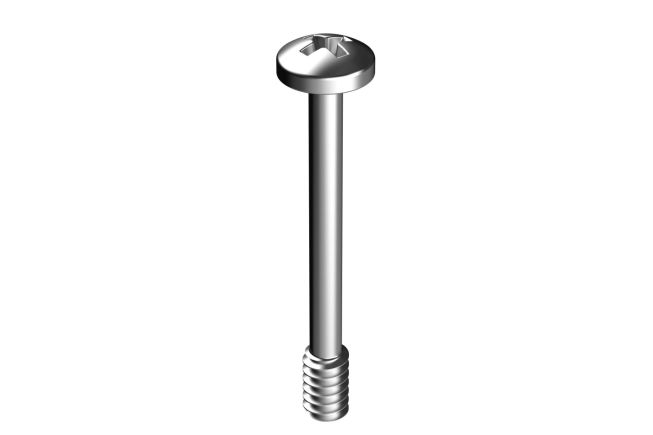 SCREWS-054
