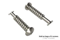 Quick turn screw